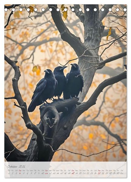 Produktbild: Nocturnal wings - A mystic raven companion for the year (Desk Calendar 2026 DIN A5 portrait), CALVENDO 12 Month DeskCalendar