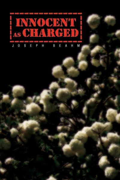 Produktbild: Innocent as Charged