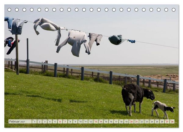 Produktbild: Wundersch&ouml;ne Hallig Hooge (Tischkalender 2027 DIN A5 quer), CALVENDO Monatskalender
