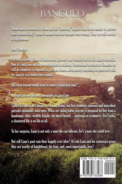 Produktbild: The Silver Knight