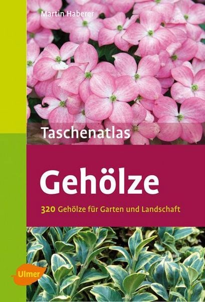 Produktbild: Geh&ouml;lze