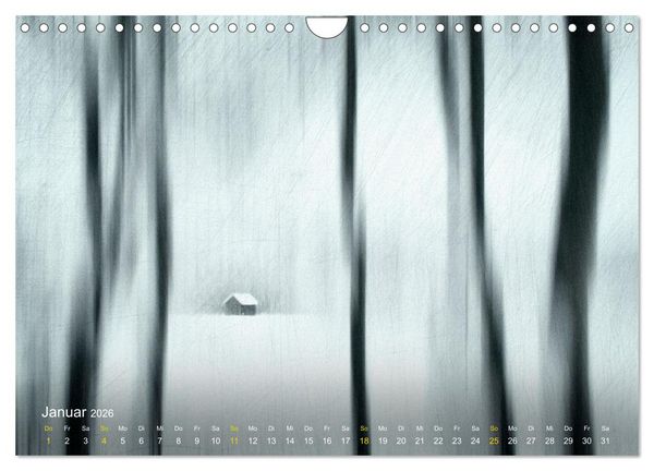 Produktbild: Traum Momente (Wandkalender 2026 DIN A4 quer), CALVENDO Monatskalender