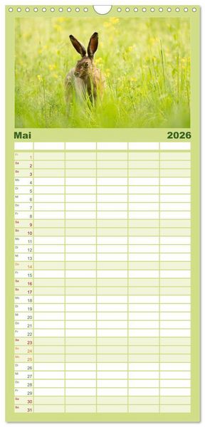 Produktbild: Familienplaner 2026 - Feldhasen unterwegs in Wald und Flur mit 5 Spalten (Wandkalender, 21 x 45 cm) CALVENDO
