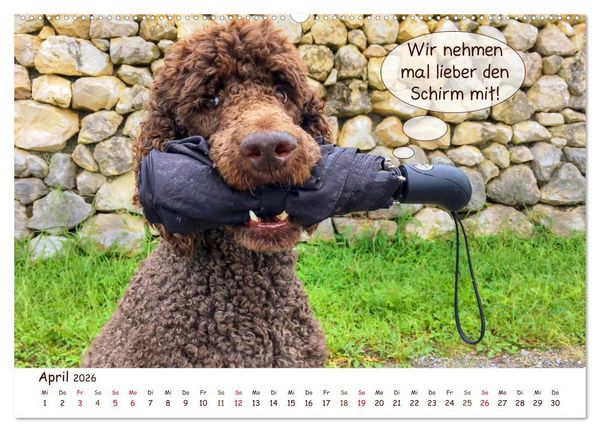 Produktbild: Frei Schnauze 2026. Was Hunde am liebsten sagen w&uuml;rden (hochwertiger Premium Wandkalender 2026 DIN A2 quer), Kunstdruck in Hochglanz