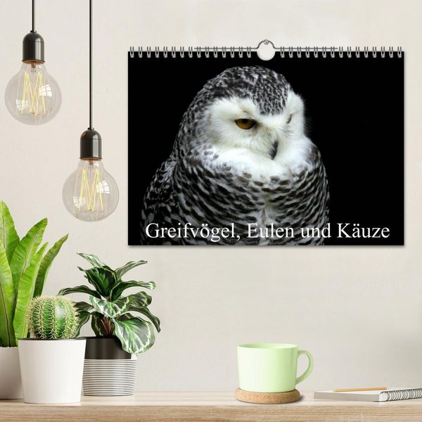 Produktbild: Greifv&ouml;gel, Eulen und K&auml;uze (Wandkalender 2026 DIN A4 quer), CALVENDO Monatskalender