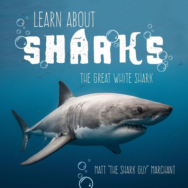 Produktbild: Learn About Sharks
