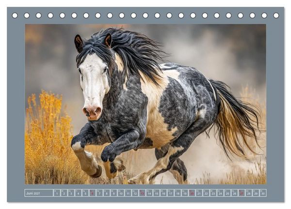 Produktbild: Mustangs. Pferde in ihrer wildesten Sch&ouml;nheit (Tischkalender 2027 DIN A5 quer), CALVENDO Monatskalender