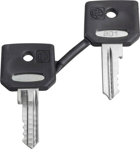 Schneider Electric ZBG421E ZBG421E Ersatzschlüssel 1St.