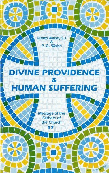 Produktbild: Devine Providence and Human Suffering
