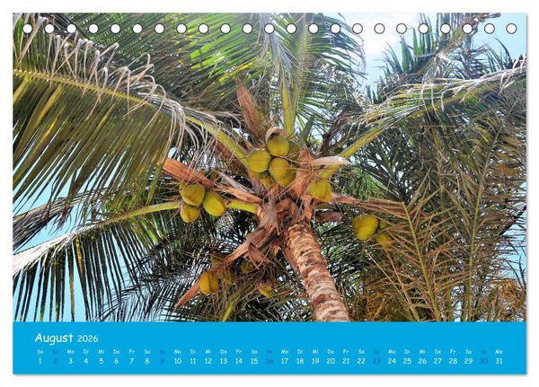 Produktbild: Cabo verde Inselgefl&uuml;ster - Ilha do Sal (Tischkalender 2026 DIN A5 quer), CALVENDO Monatskalender