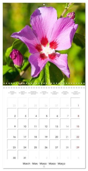 Produktbild: Herbal Haven. Enchanting Healing Plants (Wall Calendar 2026 12 &times; 12 Inch) CALVENDO 12 Month Wall Calendar