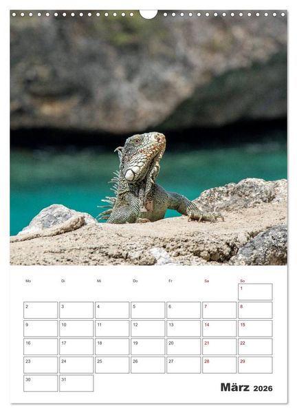 Produktbild: Curacao - Terminplaner (Wandkalender 2026 DIN A3 hoch), CALVENDO Monatskalender
