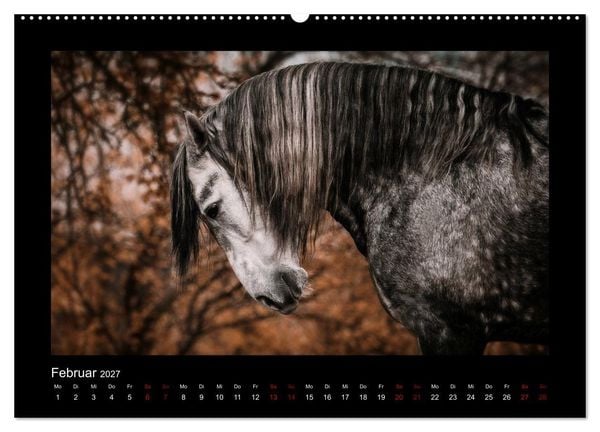 Produktbild: Die Faszinierende Welt der Pferde (hochwertiger Premium Wandkalender 2027 DIN A2 quer), Kunstdruck in Hochglanz