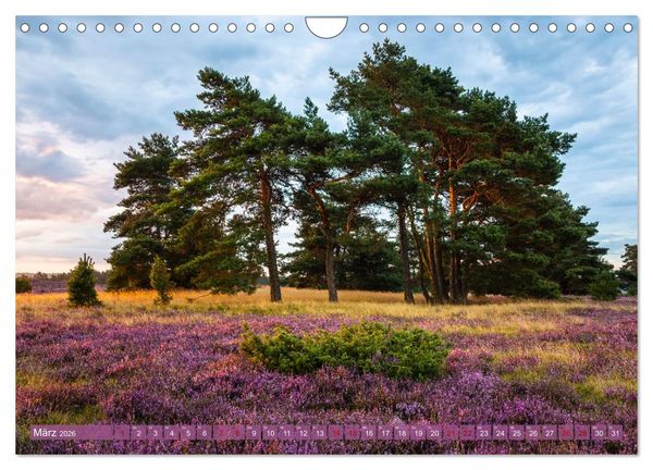 Produktbild: Romantische Heidebl&uuml;te (Wandkalender 2026 DIN A4 quer), CALVENDO Monatskalender