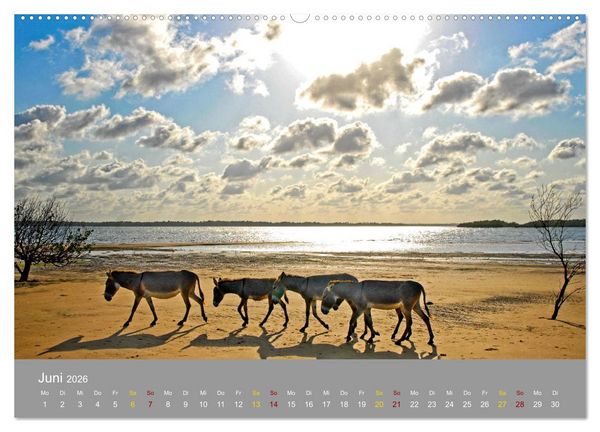 Produktbild: Lamu - Geheimtipp in Kenia (Wandkalender 2026 DIN A2 quer), CALVENDO Monatskalender