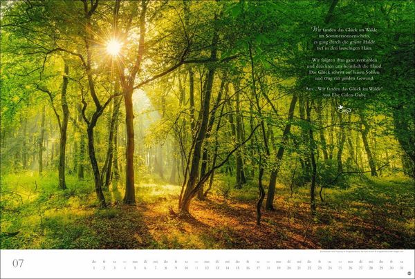 Produktbild: Der deutsche Wald - Ein literarischer Spaziergang Kalender 2027 - Ein literarischer Spaziergang