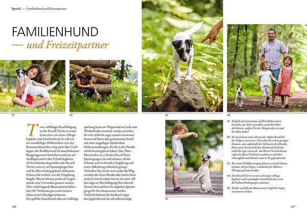 Produktbild: Parson und Jack Russell Terrier