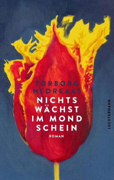 Produktbild: Nichts w&auml;chst im Mondschein