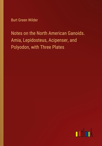 Produktbild: Notes on the North American Ganoids. Amia, Lepidosteus, Acipenser, and Polyodon, with Three Plates