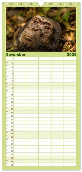 Produktbild: Familienplaner 2026 - Uganda - ein Land der Vielfalt mit 5 Spalten (Wandkalender, 21 x 45 cm) CALVENDO