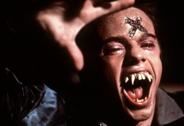 Produktbild: Die rabenschwarze Nacht - Fright Night