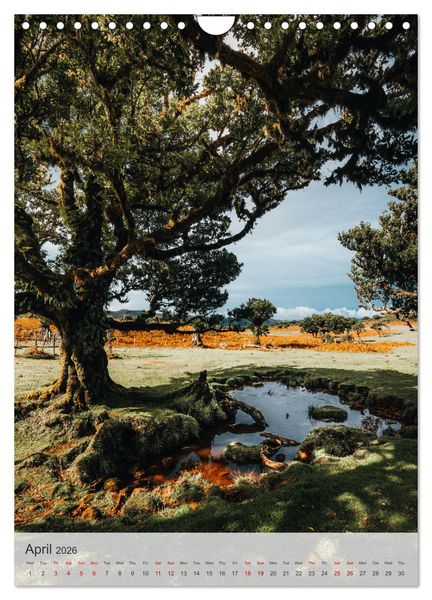 Produktbild: The Flower Island Madeira (Wall Calendar 2026 DIN A4 portrait), CALVENDO 12 Month Wall Calendar