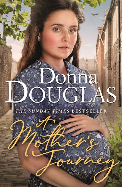 Produktbild: A Mother's Journey