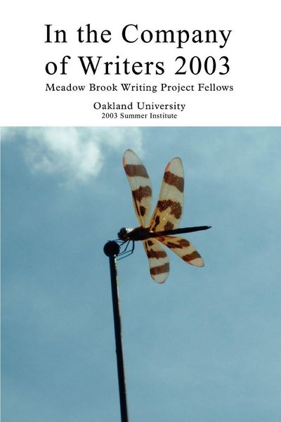 Produktbild: In the Company of Writers 2003
