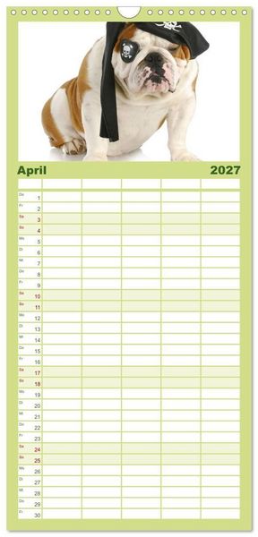 Produktbild: Familienplaner 2027 - English Bulldog XXL Models mit 5 Spalten (Wandkalender, 21 x 45 cm) CALVENDO