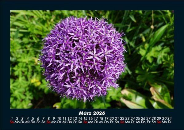 Produktbild: Blumentraum 2026 Fotokalender DIN A5
