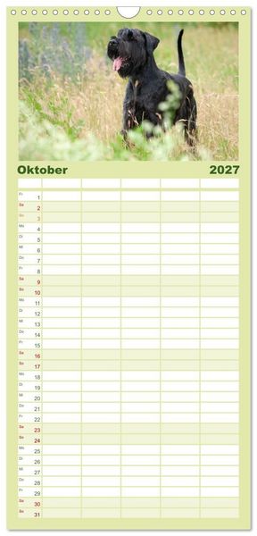 Produktbild: Familienplaner 2027 - Mit dem Riesenschnauzer durch das Jahr mit 5 Spalten (Wandkalender, 21 x 45 cm) CALVENDO