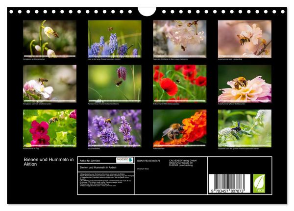 Produktbild: Bienen und Hummeln in Aktion (Wandkalender 2026 DIN A4 quer), CALVENDO Monatskalender