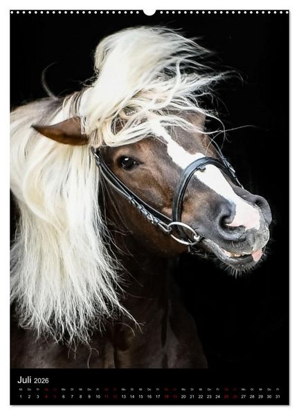 Produktbild: Schwarzw&auml;lder F&uuml;chse von Julia Hahn Photography (hochwertiger Premium Wandkalender 2026 DIN A2 hoch), Kunstdruck in Hochglanz