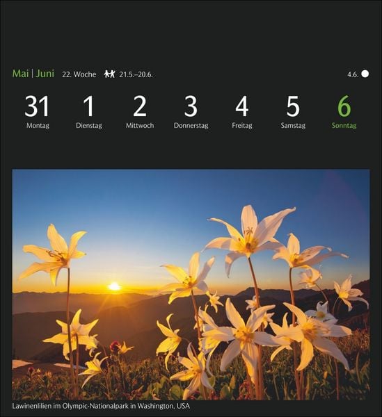 Produktbild: GEO Magische Natur Postkartenkalender 2027 - Wochenkalender mit 53 Postkarten