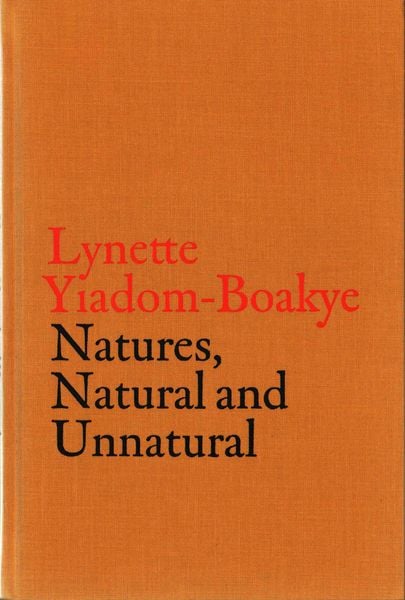 Produktbild: V-A-C Collection: Lynette Yiadom-Boakye