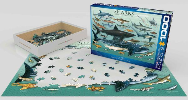 Produktbild: Sharks