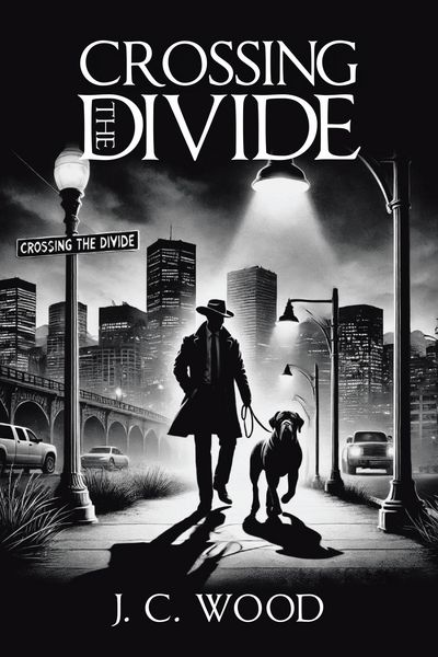 Produktbild: Crossing the Divide