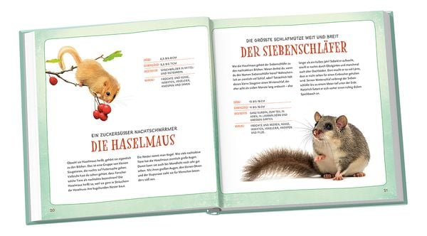 Produktbild: Ganz sch&ouml;n gro&szlig; oder klitzeklein?