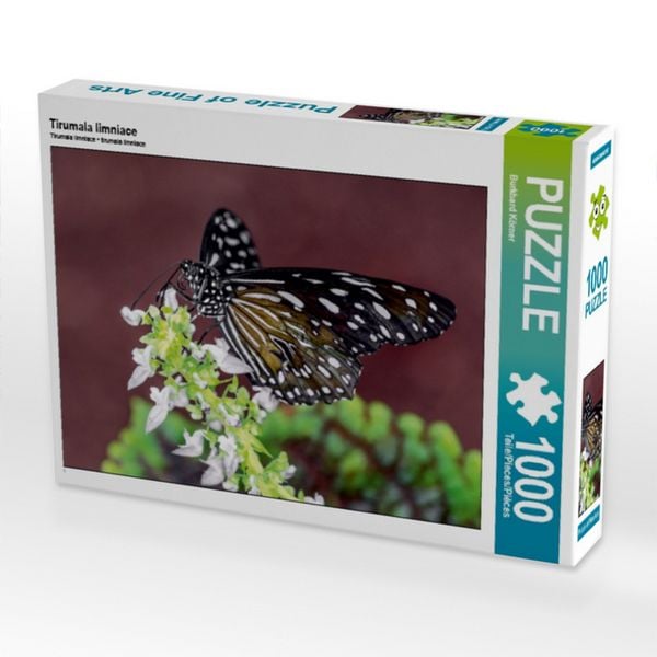 CALVENDO Puzzle Tirumala limniace | 1000 Teile Lege-Größe 64 × 48 cm Foto-Puzzle für glückliche Stunden