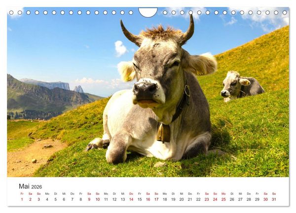 Produktbild: Seiser Alm - Im Herzen der Dolomiten. (Wandkalender 2026 DIN A4 quer), CALVENDO Monatskalender