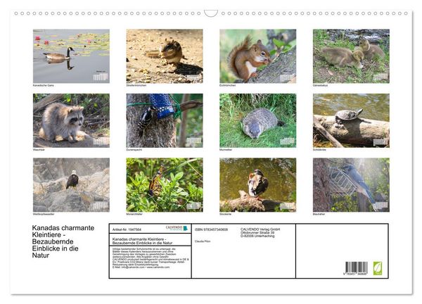 Produktbild: Kanadas charmante Kleintiere - Bezaubernde Einblicke in die Natur (Wandkalender 2026 DIN A2 quer), CALVENDO Monatskalender