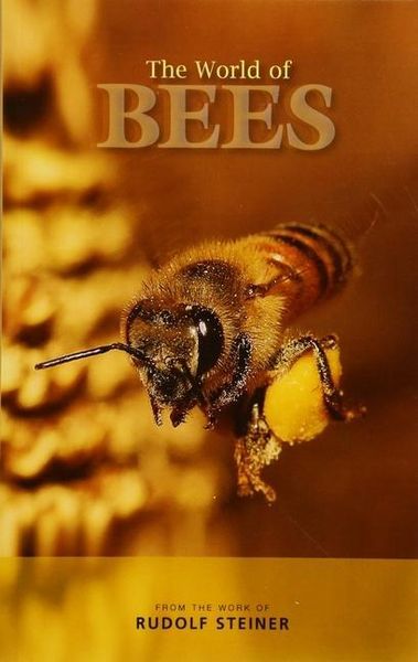 Produktbild: The World of Bees