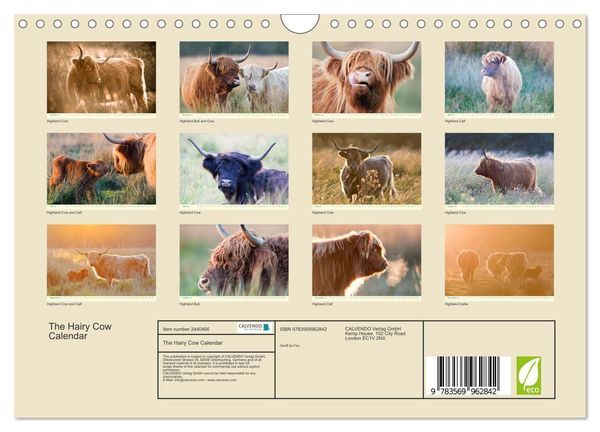 Produktbild: The Hairy Cow Calendar (Wall Calendar 2027 DIN A4 landscape), CALVENDO 12 Month Wall Calendar