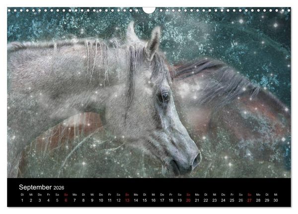 Produktbild: Pferde zum Tr&auml;umen (Wandkalender 2026 DIN A3 quer), CALVENDO Monatskalender