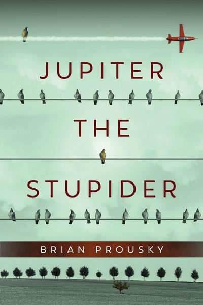 Produktbild: Jupiter the Stupider
