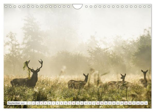 Produktbild: Natur und Tierparadies (Wandkalender 2027 DIN A4 quer), CALVENDO Monatskalender