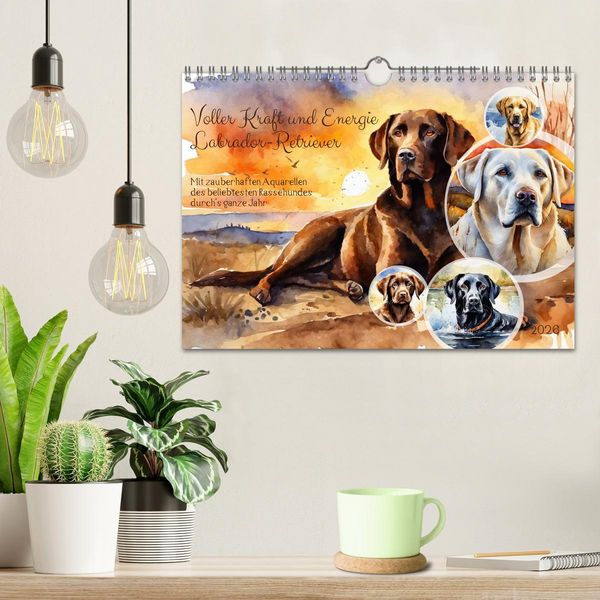 Produktbild: Voller Kraft und Energie - Labrador-Retriever (Wandkalender 2026 DIN A4 quer), CALVENDO Monatskalender