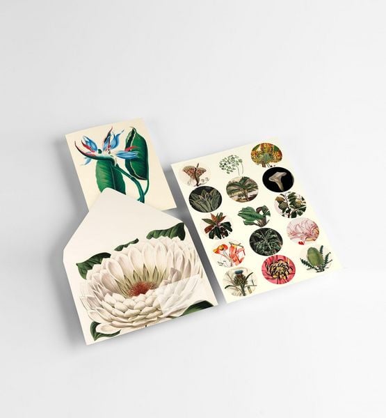 Produktbild: Botanical
