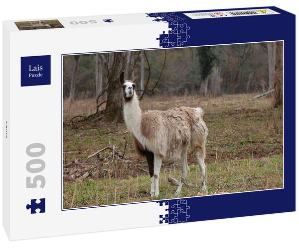 Produktbild: Lais Puzzle Lama 500 Teile