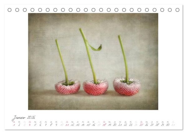 Produktbild: Vintage Flowers (Tischkalender 2026 DIN A5 quer), CALVENDO Monatskalender